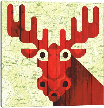Moose Canvas Art Print - Scott Partridge