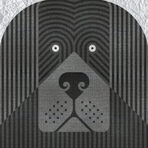 Newfoundlands: New Found Land by Scott Partridge