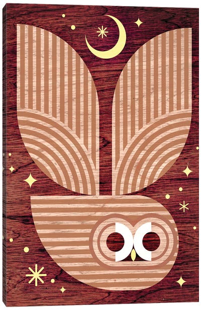 Barred Owl In Flight Canvas Art Print - Scott Partridge