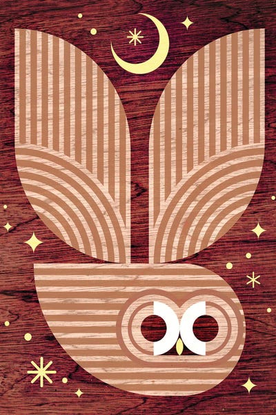 Scott Partridge: Barred Owl In Flight by Scott Partridge
