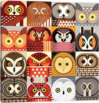 North American Owls Canvas Art Print - Playroom Art