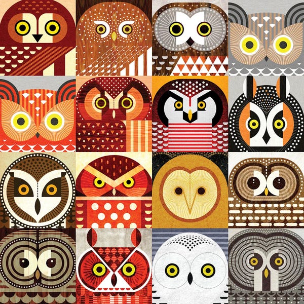 Mid-Century Modern Living Room: North American Owls by Scott Partridge