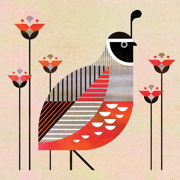 Mid-Century Modern Animals: Quail II by Scott Partridge