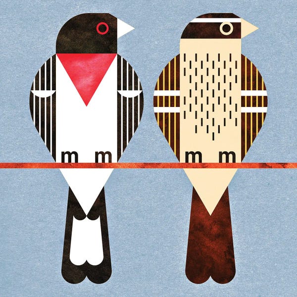 Rose Breasted Grosbeaks