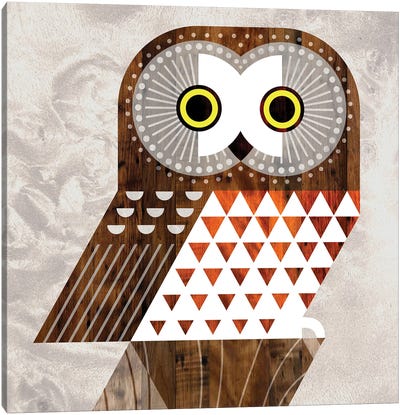 Saw Whet Owl Canvas Art Print - Scott Partridge