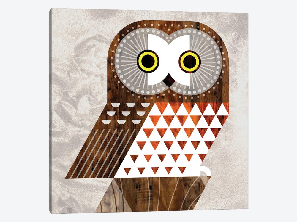 Saw Whet Owl by Scott Partridge 1-piece Art Print