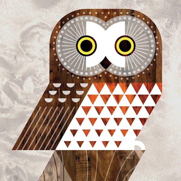Scott Partridge: Saw Whet Owl by Scott Partridge