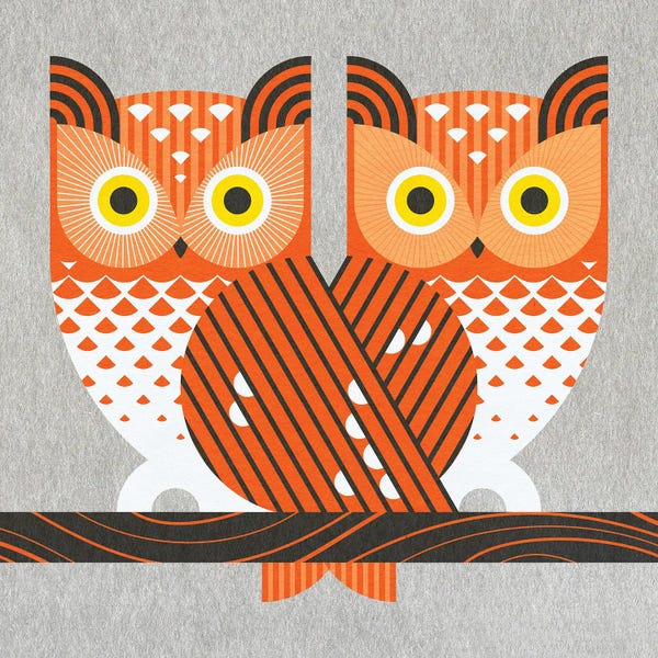 Screech Owls