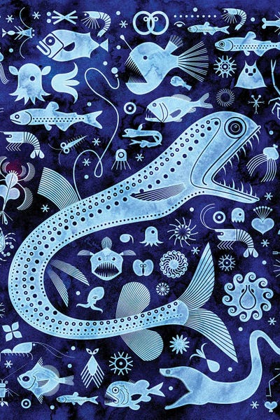 Black & White & Blue: The Abyssal Zone by Scott Partridge