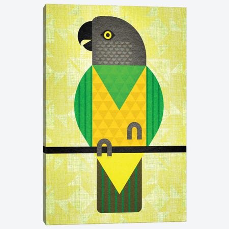 Senegal Parrot Canvas Print #SPT86} by Scott Partridge Art Print