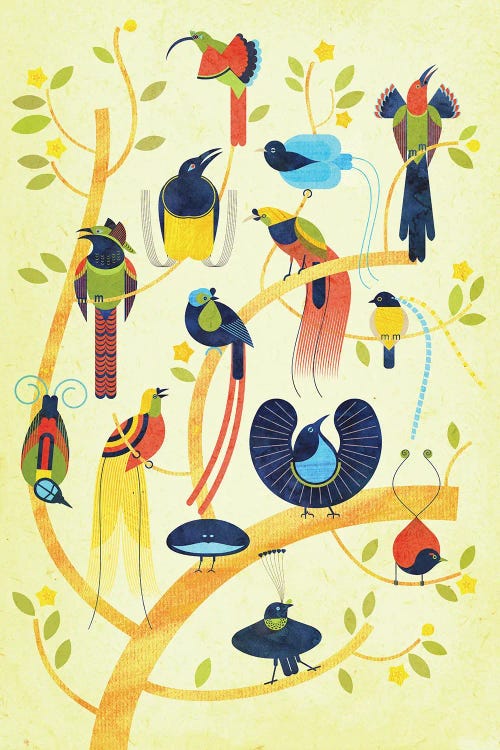 Birds Of Paradise by Scott Partridge wall art