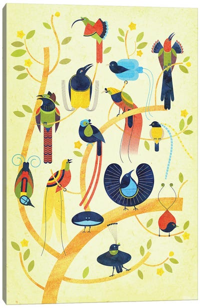 Birds Of Paradise Canvas Art Print - Scott Partridge