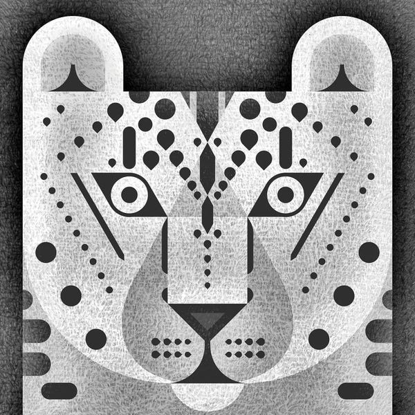 Leopards: Snow Leopard II by Scott Partridge