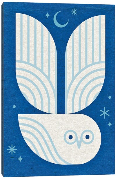 White Owl In Flight Canvas Art Print - Scott Partridge