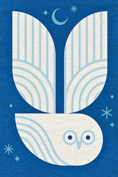 Scott Partridge: White Owl In Flight by Scott Partridge
