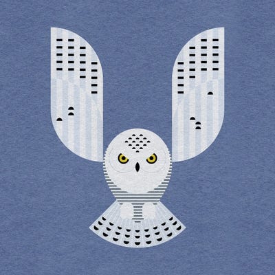 Snowy Owl by Scott Partridge metal wall art