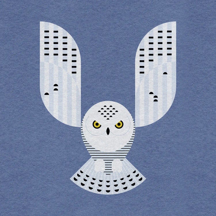 Snowy Owl by Scott Partridge wall art