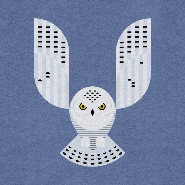 Scott Partridge: Snowy Owl by Scott Partridge