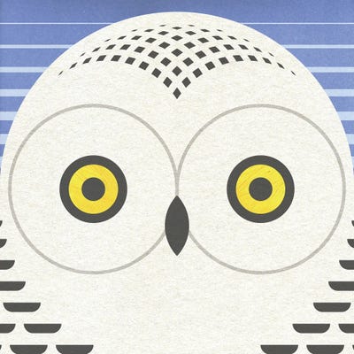 Showy Owl Head by Scott Partridge metal wall art