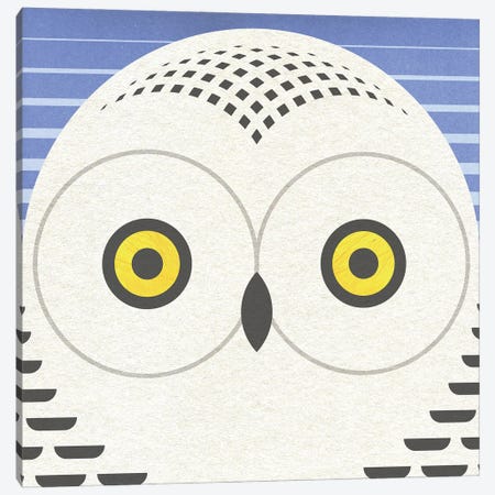 Showy Owl Head Canvas Print #SPT93} by Scott Partridge Canvas Print
