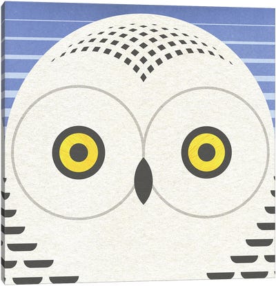 Showy Owl Head Canvas Art Print - Scott Partridge
