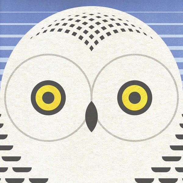 Scott Partridge: Showy Owl Head by Scott Partridge