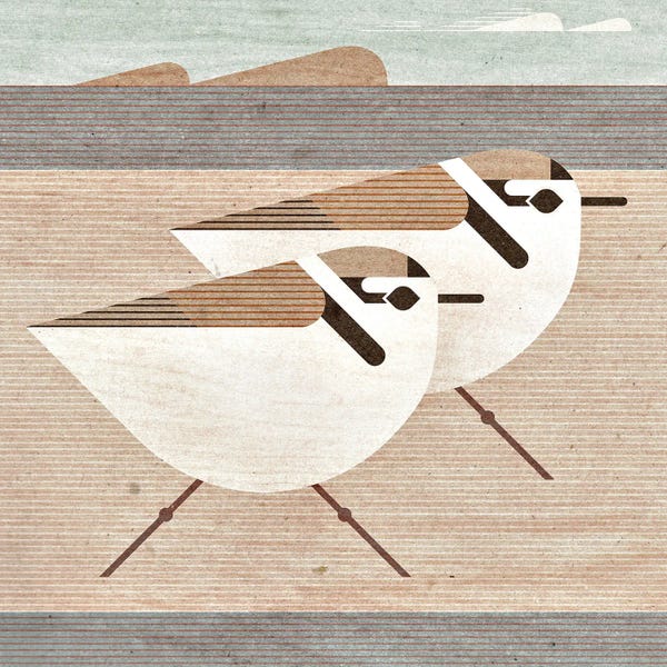Mid-Century Modern Animals: Snowy Plovers by Scott Partridge