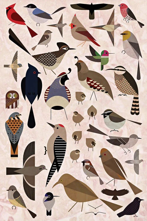 Sonoran Birds by Scott Partridge wall art