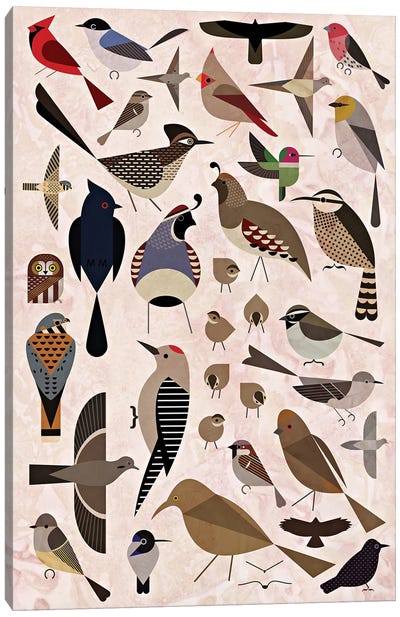 Sonoran Birds Canvas Art Print - Scott Partridge