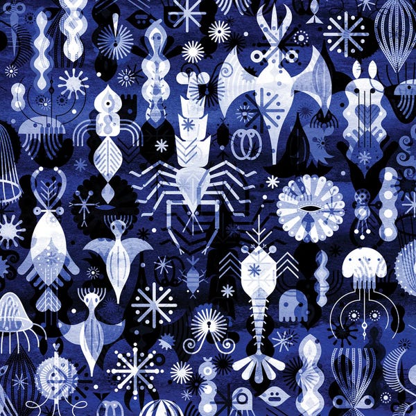 Black & White & Blue: Sealife by Scott Partridge