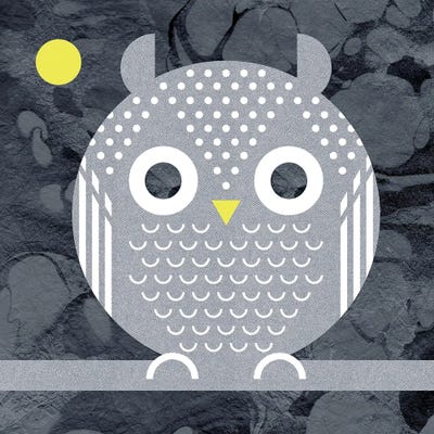 Night Owl by Scott Partridge metal wall art