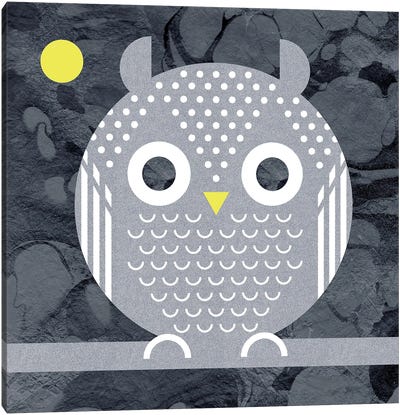Night Owl Canvas Art Print - Scott Partridge