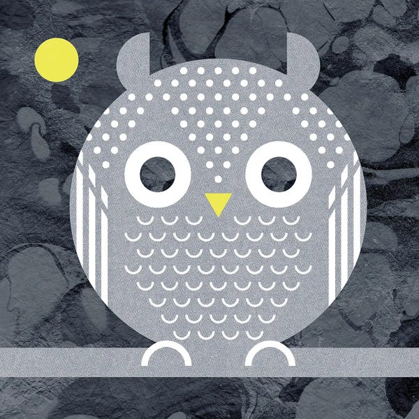 Scott Partridge: Night Owl by Scott Partridge