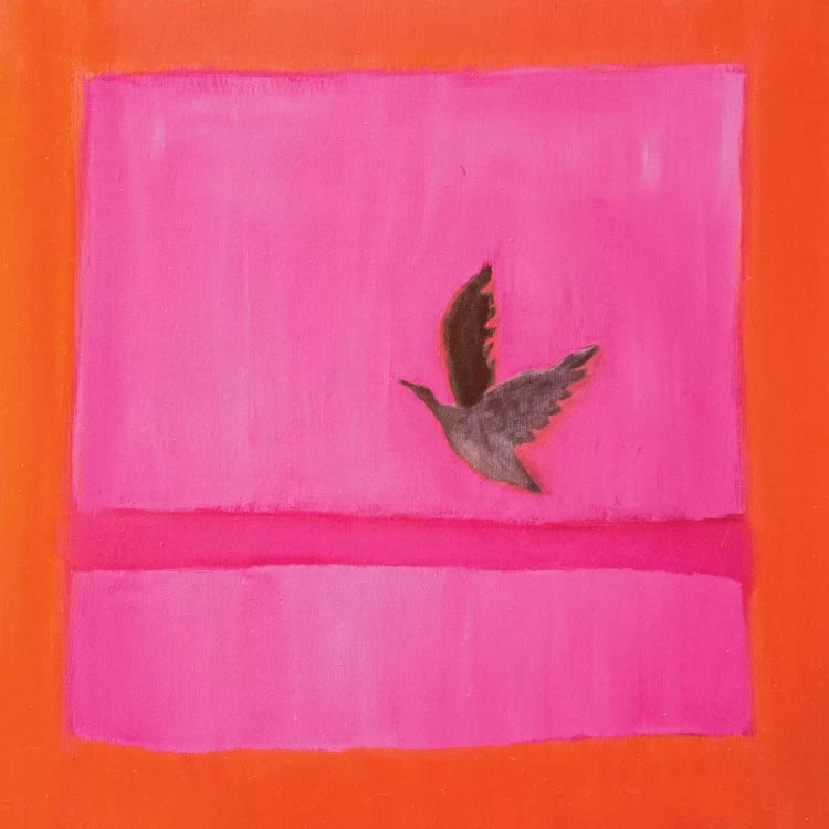 Flying Duck by Andrew Squire wall art