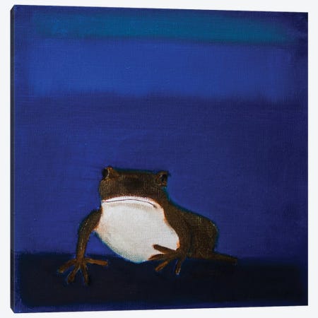 Frog Canvas Print #SQU11} by Andrew Squire Art Print