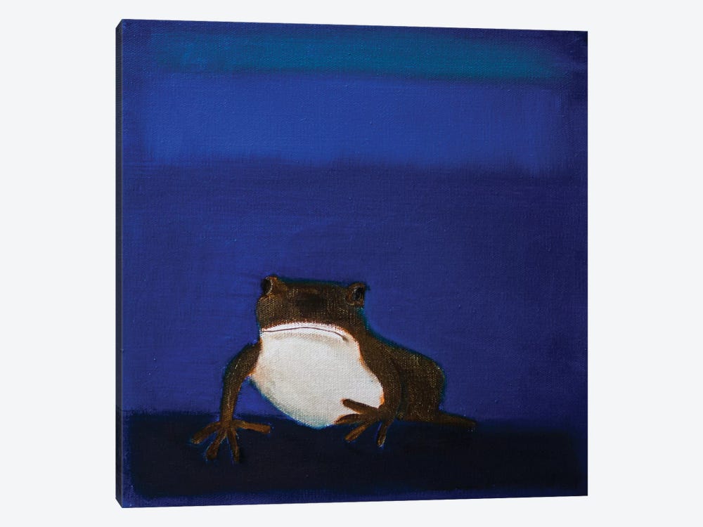 Frog by Andrew Squire 1-piece Canvas Print