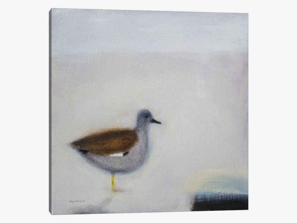 Gadwall by Andrew Squire 1-piece Canvas Artwork