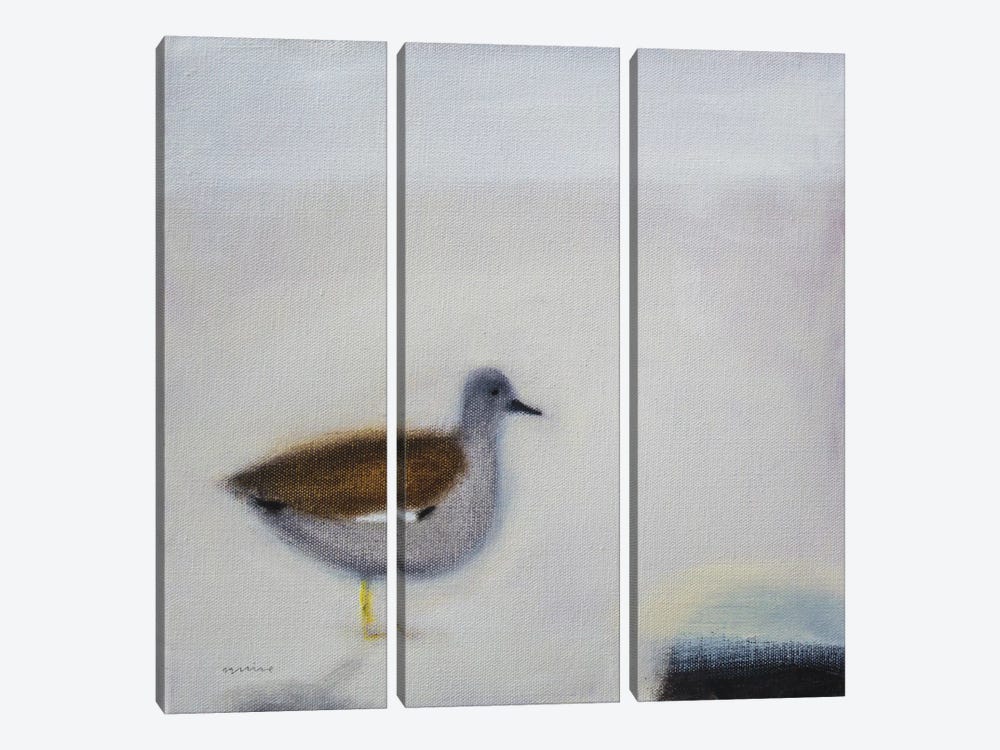Gadwall by Andrew Squire 3-piece Canvas Art