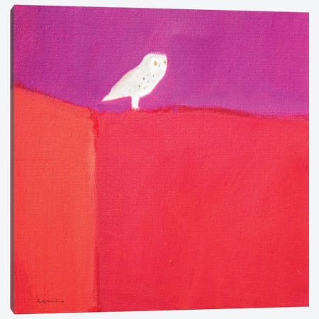 Owl Canvas Print #SQU16} by Andrew Squire Canvas Wall Art