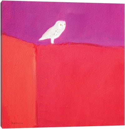 Owl Canvas Art Print - Andrew Squire