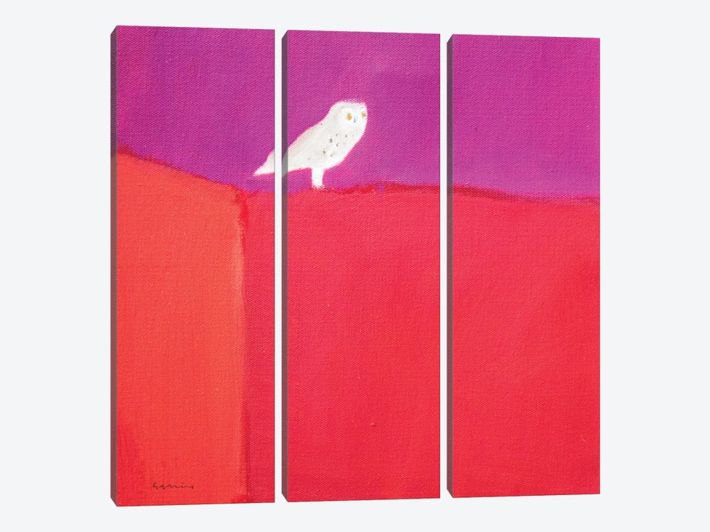 Owl by Andrew Squire 3-piece Canvas Artwork