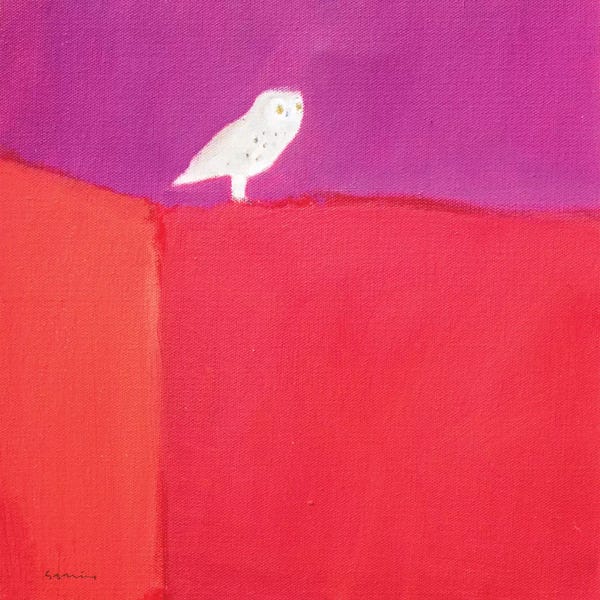 Unexpected Red: Owl by Andrew Squire