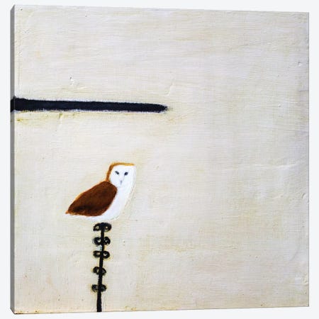 Owl On A Post Canvas Print #SQU17} by Andrew Squire Canvas Artwork