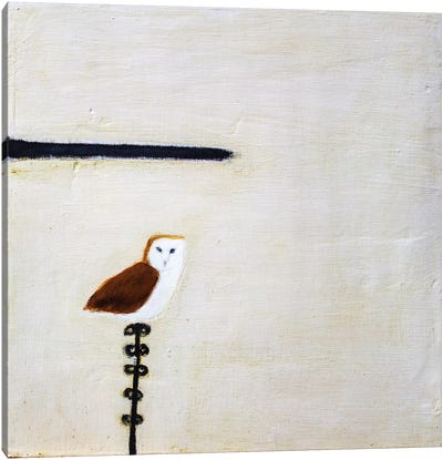 Owl On A Post Canvas Art Print - Andrew Squire