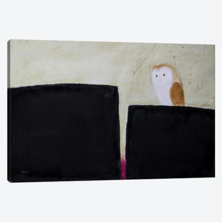 Owl On Black & Magenta Canvas Print #SQU18} by Andrew Squire Canvas Art Print