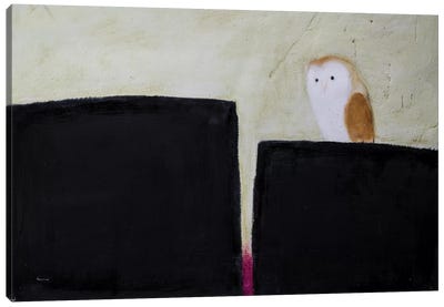 Owl On Black & Magenta Canvas Art Print - Andrew Squire