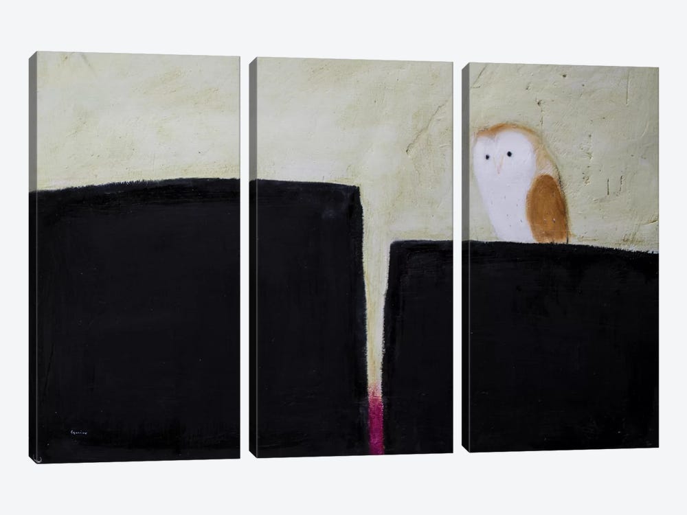 Owl On Black & Magenta by Andrew Squire 3-piece Canvas Artwork