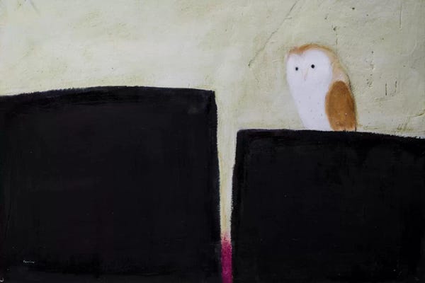 Andrew Squire: Owl On Black & Magenta by Andrew Squire