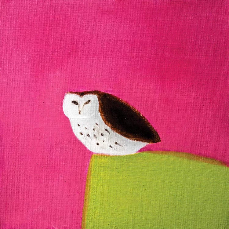 Owl On Pink & Green