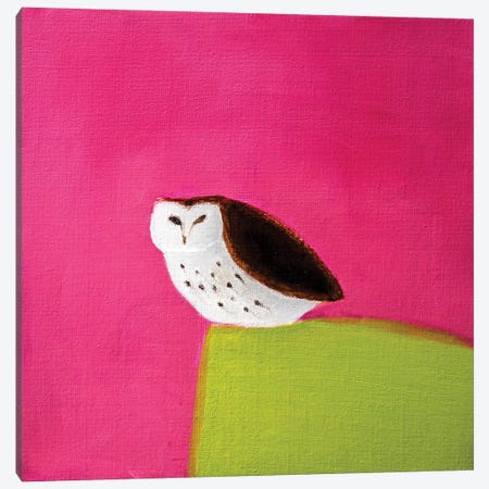 Owl On Pink & Green Canvas Print #SQU19} by Andrew Squire Canvas Print
